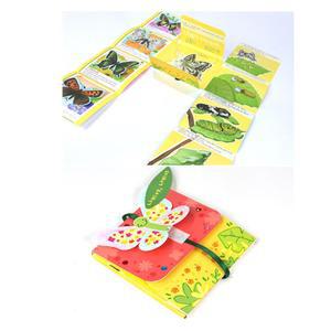 DIY 봄 북아트 나비 종류 특징 성장 학습 이야기나누기 5개 엄마랑만들기 미술수업 꾸미기