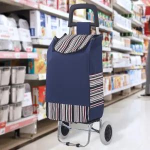 지인이 쇼핑카트 시장 마트 바퀴달린 장바구니 캐리어 구르마