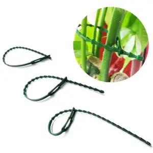 원예용 식물 고정끈 11cm 고추 오이 줄기 지지대/넝쿨/클립/타이/식물끈/고추줄/텃밭핀/농사용/집개