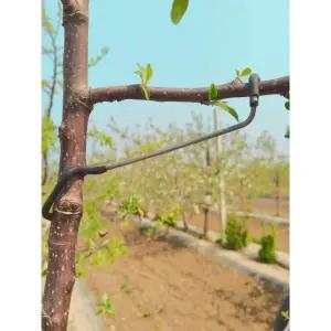 정원용 사과나무 철사 과수 유인줄 지지대 고정끈 강선 06형 40개