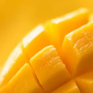 태국 골드망고 2kg 남독마이 생망고 수입과일