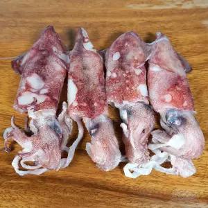 국내산 동해안 총알한치 800g 급냉