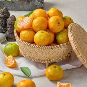 산지직송 제주 비가림 하우스 감귤 4.5kg 대과 2L) 외