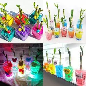 나만의이름표개운죽키우기 10개 세트