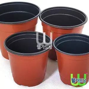 갈색 칼라포트 MJ120 100개입 다량의 모종 식물 작물 심기용 화분