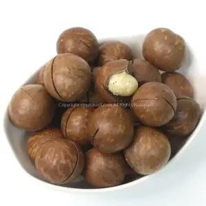 25년 수확 중국산 통마카다미아 인쉘 1kg 까먹는 껍질마카다미아