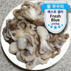 서해안 활쭈꾸미 봄철 당일조업 생물 보양 알쭈꾸미 1kg