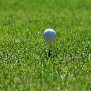 캔터키 블루 그라스 씨앗 잔디 종자 서양 양잔디 20g (KR)