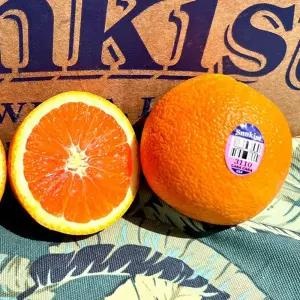 미국산 카라카라 오렌지 17kg 72과 대과 썬키스트 카라카라오렌지 엠팍오렌지 필즈오렌지 고당도오렌지