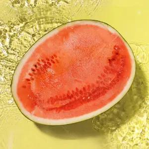 과일꾼 고당도 수박 하우스 씨없는 꿀수박 흑수박