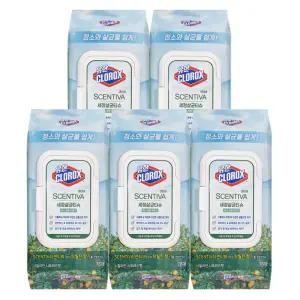 유한락스티슈 유한 세정살균티슈 시칠리안시트러스향 76매 5개