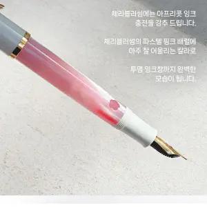 펠리칸 M200 체리블러썸[한정판]로디아 다이어리증정