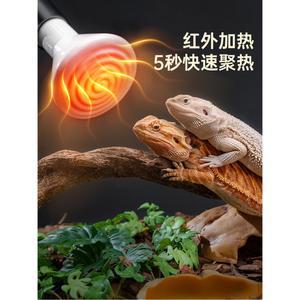 세라믹 난방 전구 열전구 이미터 히터 육추 커버 100w 상자 온도조절 세라믹전구 온열등