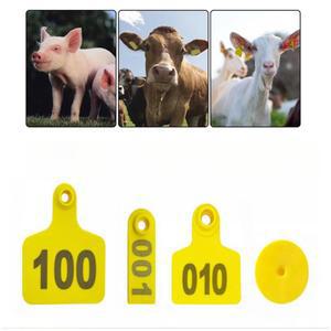 가축 목장 이표 돼지 소전염병 한우 송아지 주황B 라벨 염소 50개 돼지이표