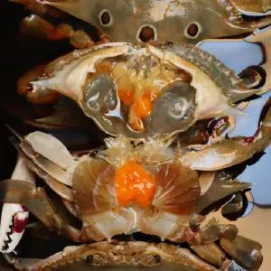 암꽃게장 2kg 알배기 간장 꽃게장 대용량 봄