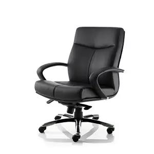 비츠 VIITZ  이누스 고급형 낮은등 L 블랙(천연) 중역의자