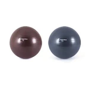 아이워너 짐볼 75cm 안티버스트 요가 필라테스 임산부 운동