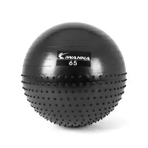 아이워너 짐볼 65CM 요가 필라테스 임산부 운동 스트레칭