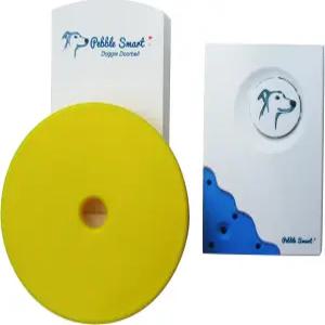 페블 스마트 도기 초인종 - 블루 액센트