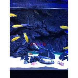 입체 2자 수조 3D 백스크린 광폭