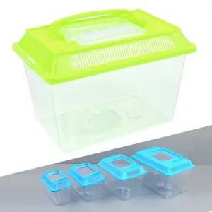 잠자리통 곤충 채집 중형 올챙이 개구리 달팽이사육 장수풍뎅이사육레드 매미