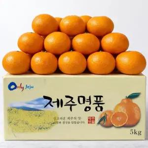 [당도보장] 제주 청견 오렌지 중대과 특품 청견귤 고당도 국내산오렌지 10kg (33과내