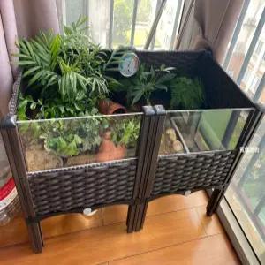 전갈 애완동물 가열 동헤르만 분양 수유 파충류집 육지거북이사육장