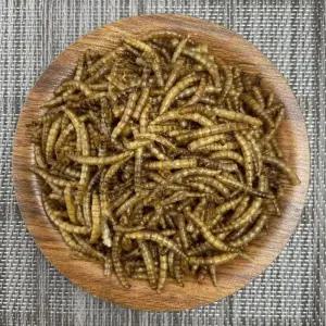 한국조류원 열풍건조 밀웜 소동물/새/햄스터사료 20gx16개