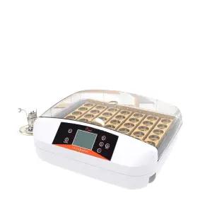 병아리 자동 달걀 부화기 인큐베이터 조류 메추라기