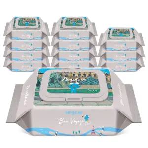 페넬로페 본보야지 루브르 휴대용 캡형, 20매, 12입, 1개