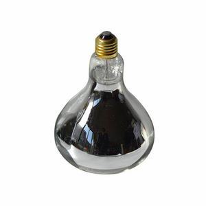 농장 보온 파충류 서식지 치킨 지시등 전구 돼지 계묘년 고양이 제품 파충류조명 수족관