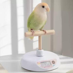 소형 앵무새 조류 체중계 참고 18cm 횃대 나무 영어 과학적 간편저울 왕관앵무 관리