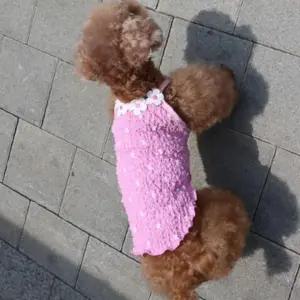 팝업 강아지 리뉴얼 꽃무늬 끈나시티 핑크 2XL 1P 티셔츠