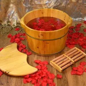 강아지 히노끼탕 애견 반신욕 목욕탕 편백나무 욕조