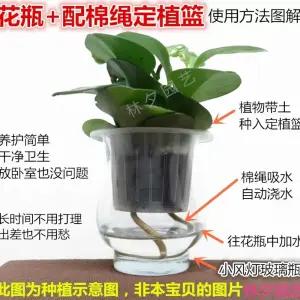 재배포트 포트망 수화분 난재배 재배 식물 화분 실내