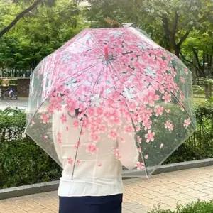 투명 벚꽃우산 패션 장우산 돔 우산 2개세트