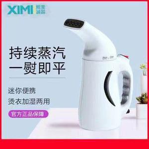 여행용 입식 증기 다리미 대증기입식 손다림질을 휴대용 미니 고데기 스팀다리미