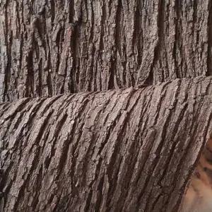 가짜 나무 껍질 인테리어 실내 장식 꾸미기 인조 모형 버드나무