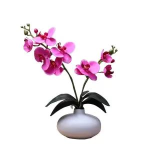 난 조화 장식용 난꽃 생화느낌 호접란 화분 원예용