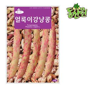 얼룩이강낭콩씨앗 70립 비덩쿨 강낭콩종자 텃밭채소씨앗