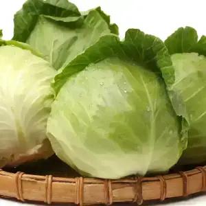 국내산 양배추 1통(2kg내외)