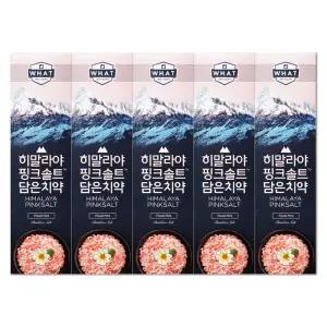엘지 죽염 히말라야 핑크솔트 담은 치약 플로럴 100g X 5개