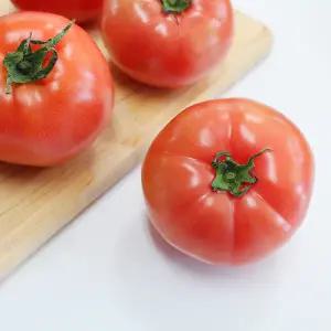 [삼송 농부의행복] 탱글상큼 완숙토마토 5kg(1-2번/19~27과)