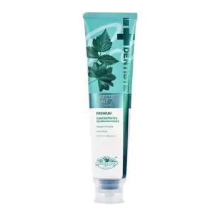 덴티스테 최신상 프리미엄 치약 뉴브리즈민트 프로 고불소 180g