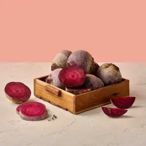 제주 신선한 레드비트 5kg