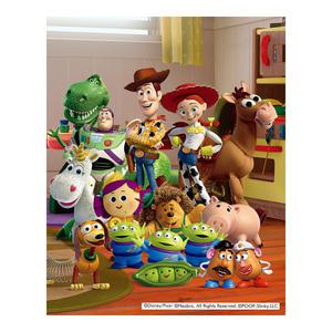 DIY 보석십자수 디즈니 토이스토리2 40x50cm 캔버스형