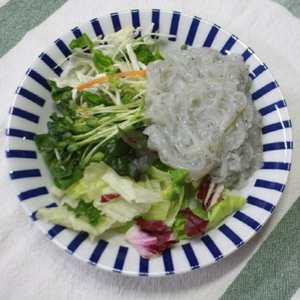 당진 장고항 생물 실치 회 된장국 튀김 전 300g