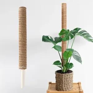 랩앤툴스 코코봉 연결형 식물 화분 몬스테라 지지대 지주대 플라스틱 수태봉 40cm