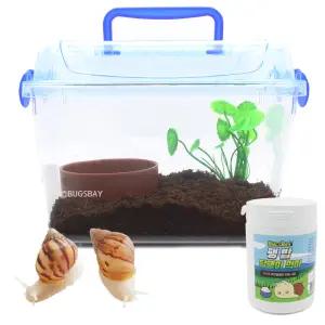 달팽이포함 럭셔리세트 중형 ( 백와달팽이 2마리 포함 )