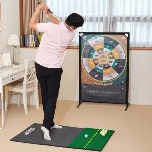 [퍼플그린]골프다트 PRO 실내용 골프 매트 골프 스윙 연습기 골프연습장 학교 체육 교구 교보재